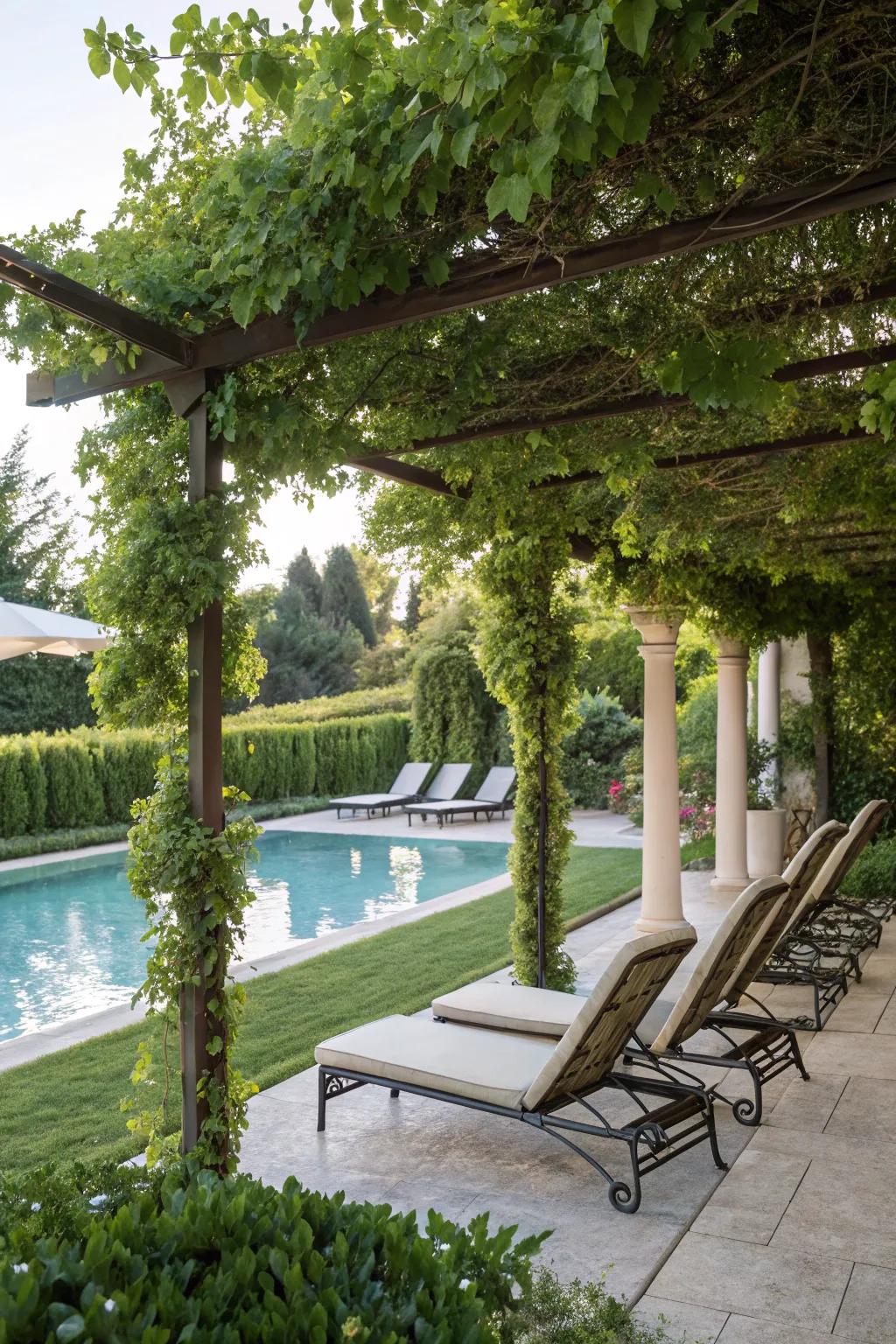 An elegant pergola offers both shade and style by the pool.