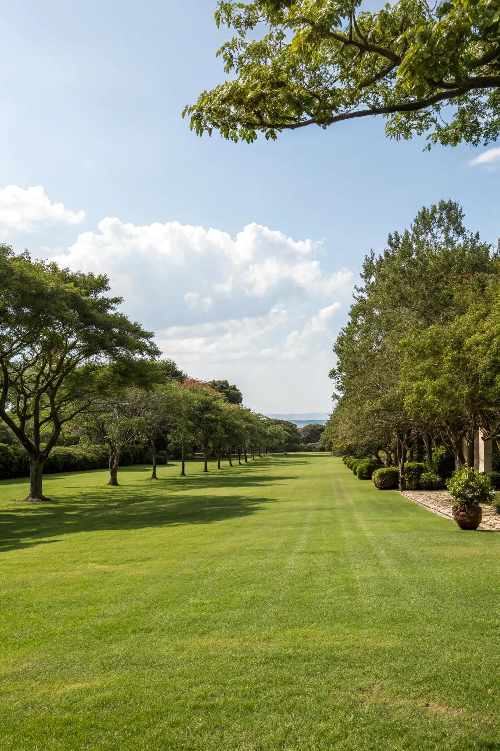 Open spaces invite relaxation and play.