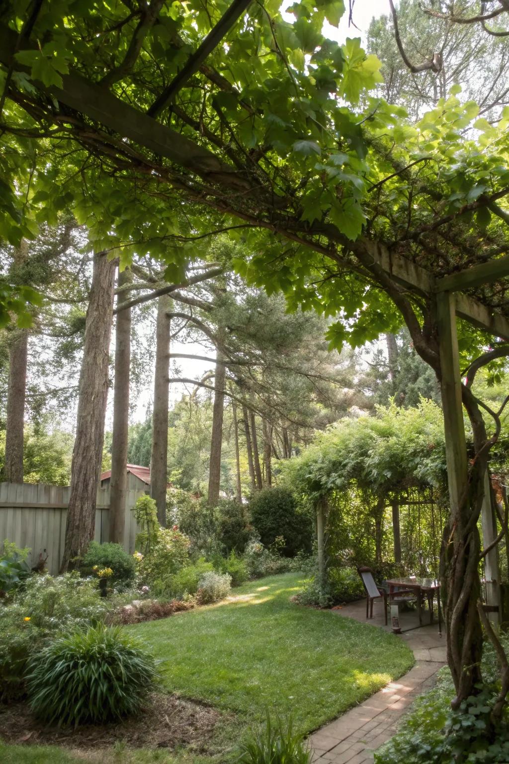 A plant canopy offers natural shade and lush beauty.