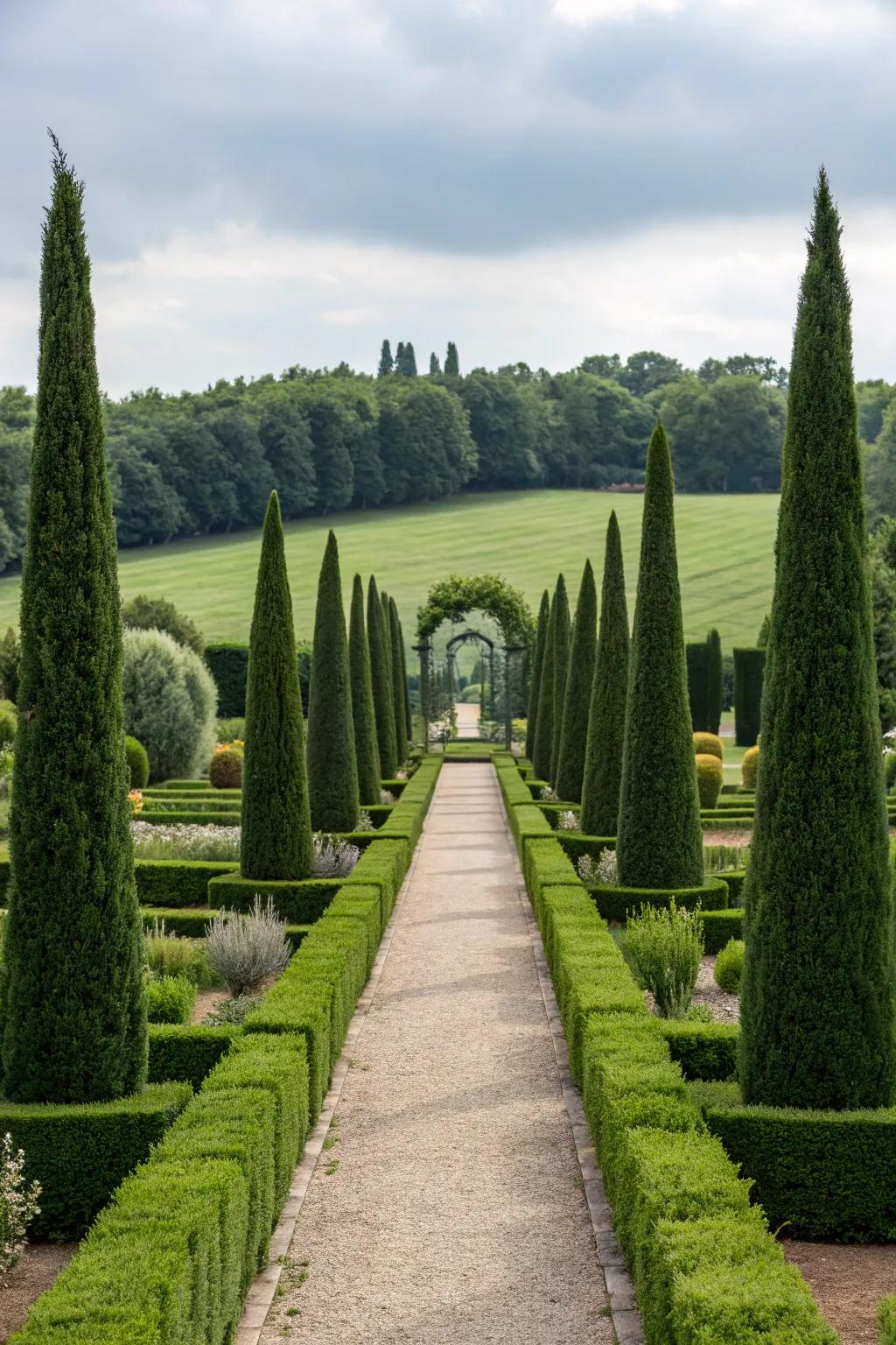 Achieve a classic look with formal arborvitae arrangements.