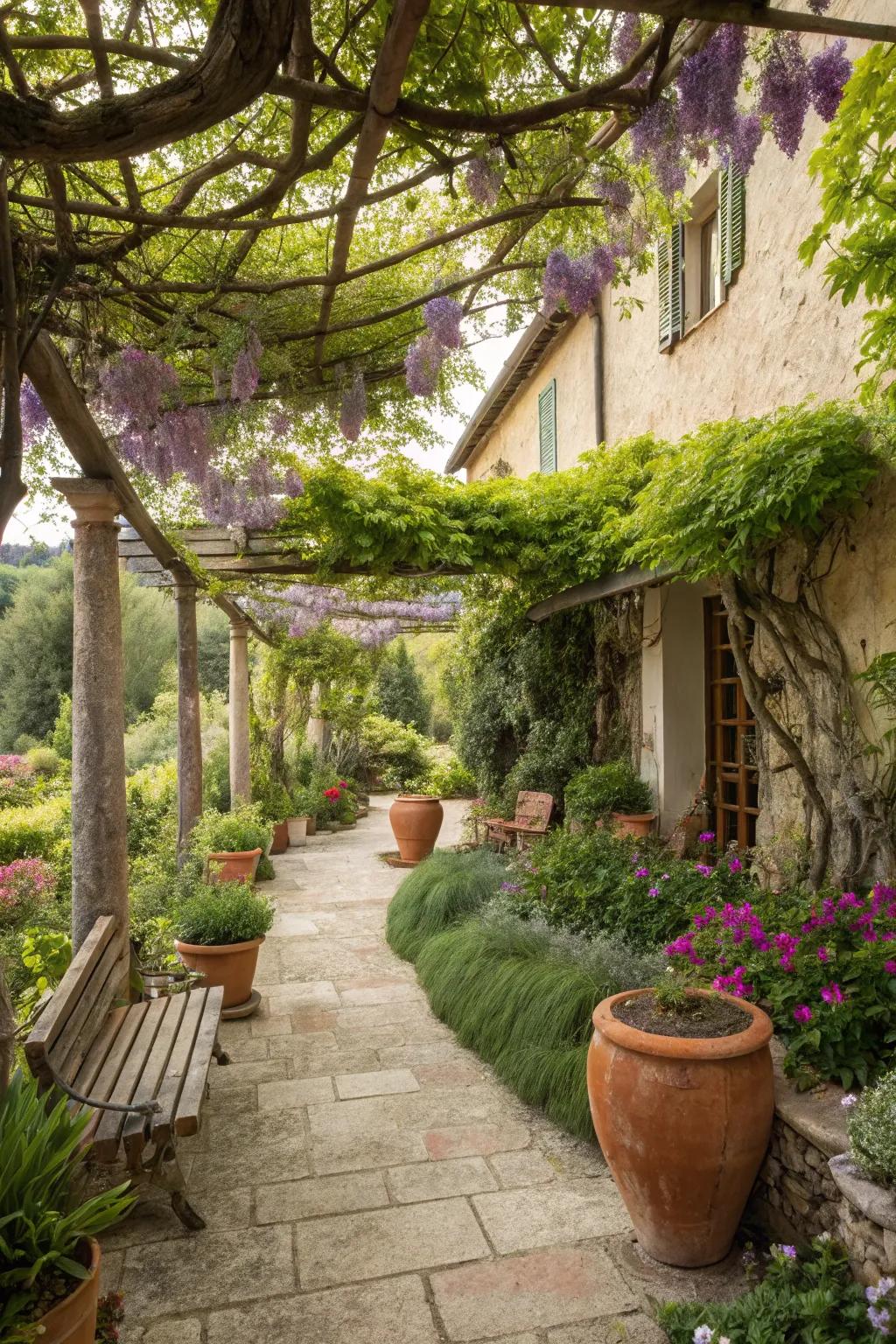 Mediterranean flair with terracotta and wisteria.