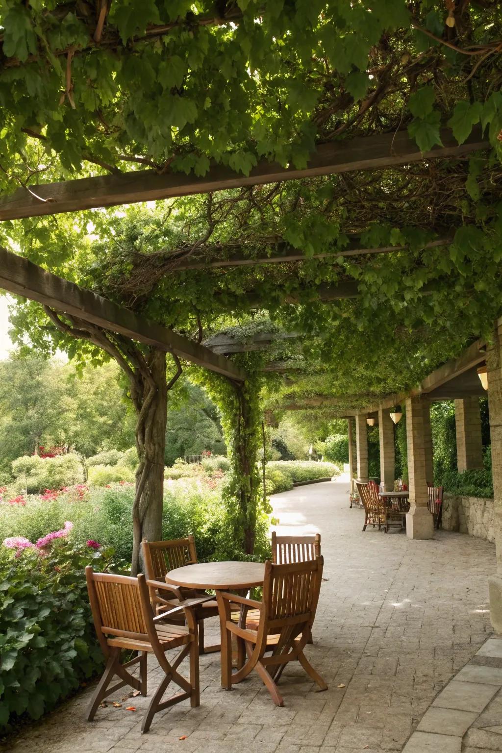 A pergola offers both shade and style to your outdoor living area.