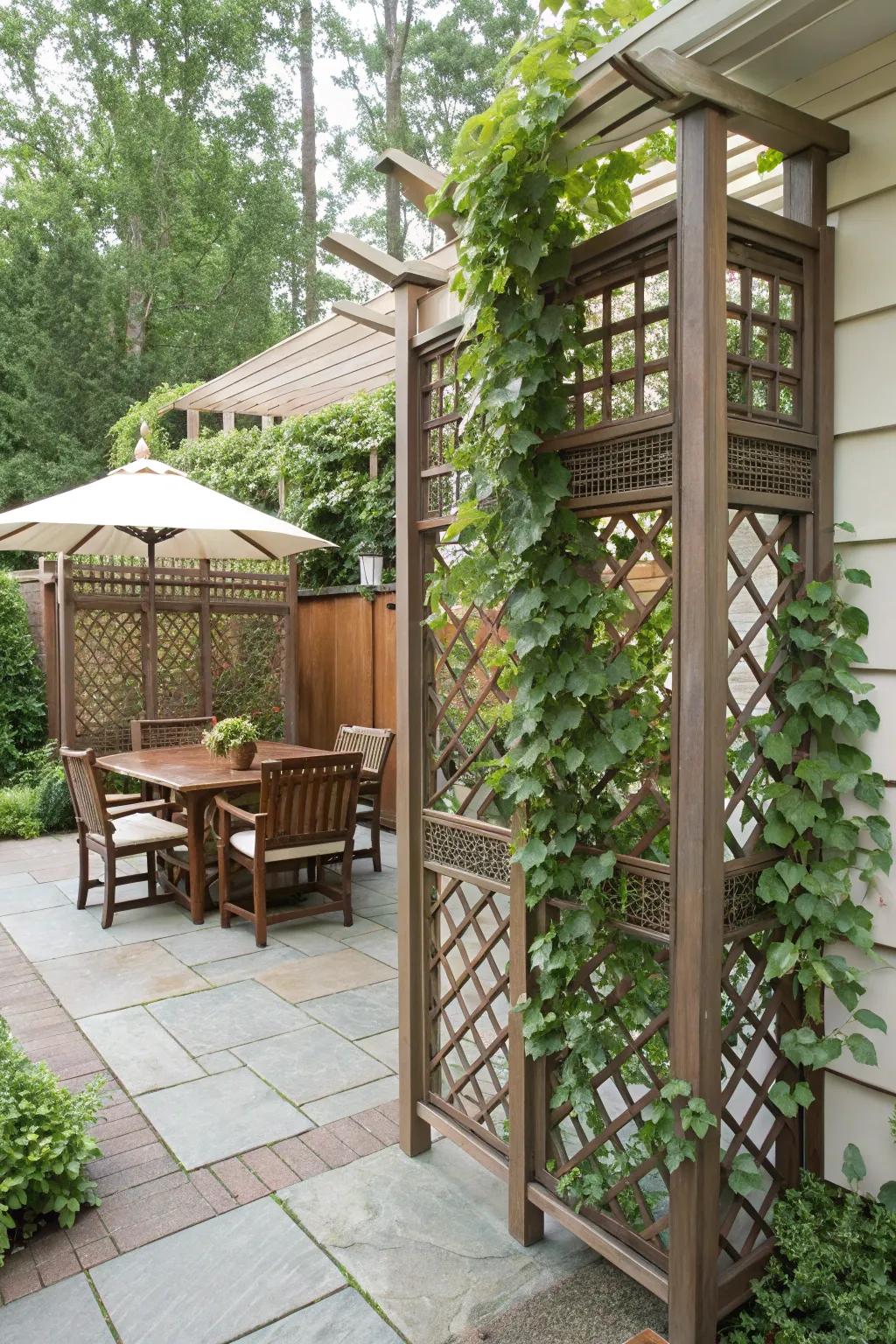 Lattice screens allow light and greenery to intertwine beautifully.