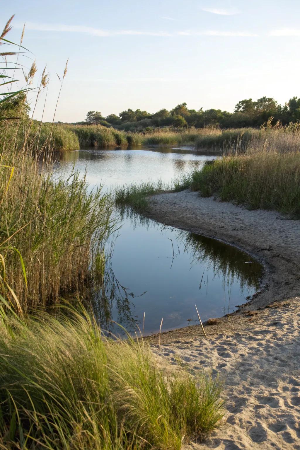 A private nook provides a tranquil escape by your pond beach.