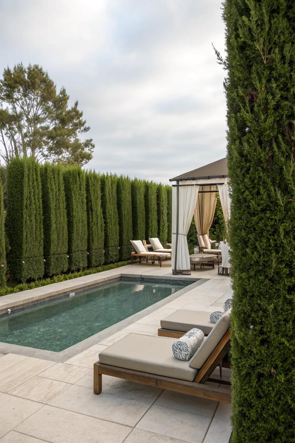 Privacy hedges transform your spa space into a secluded retreat.