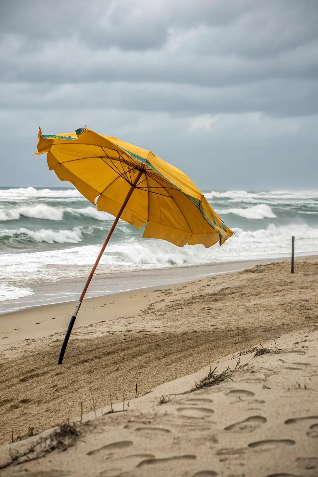 Wind-resistant designs keep your umbrella grounded.