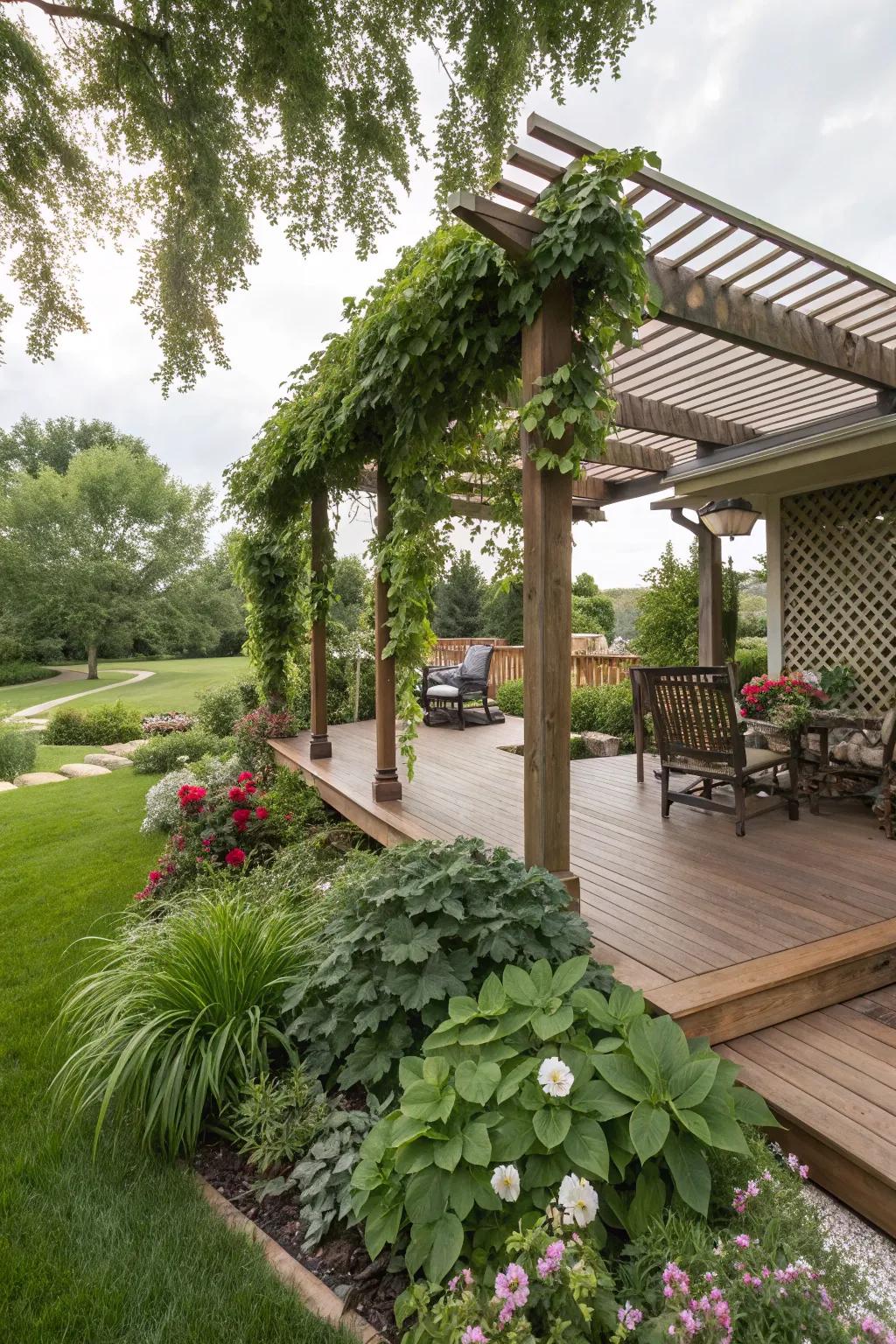 A deck enhanced with a pergola for shade and elegance.