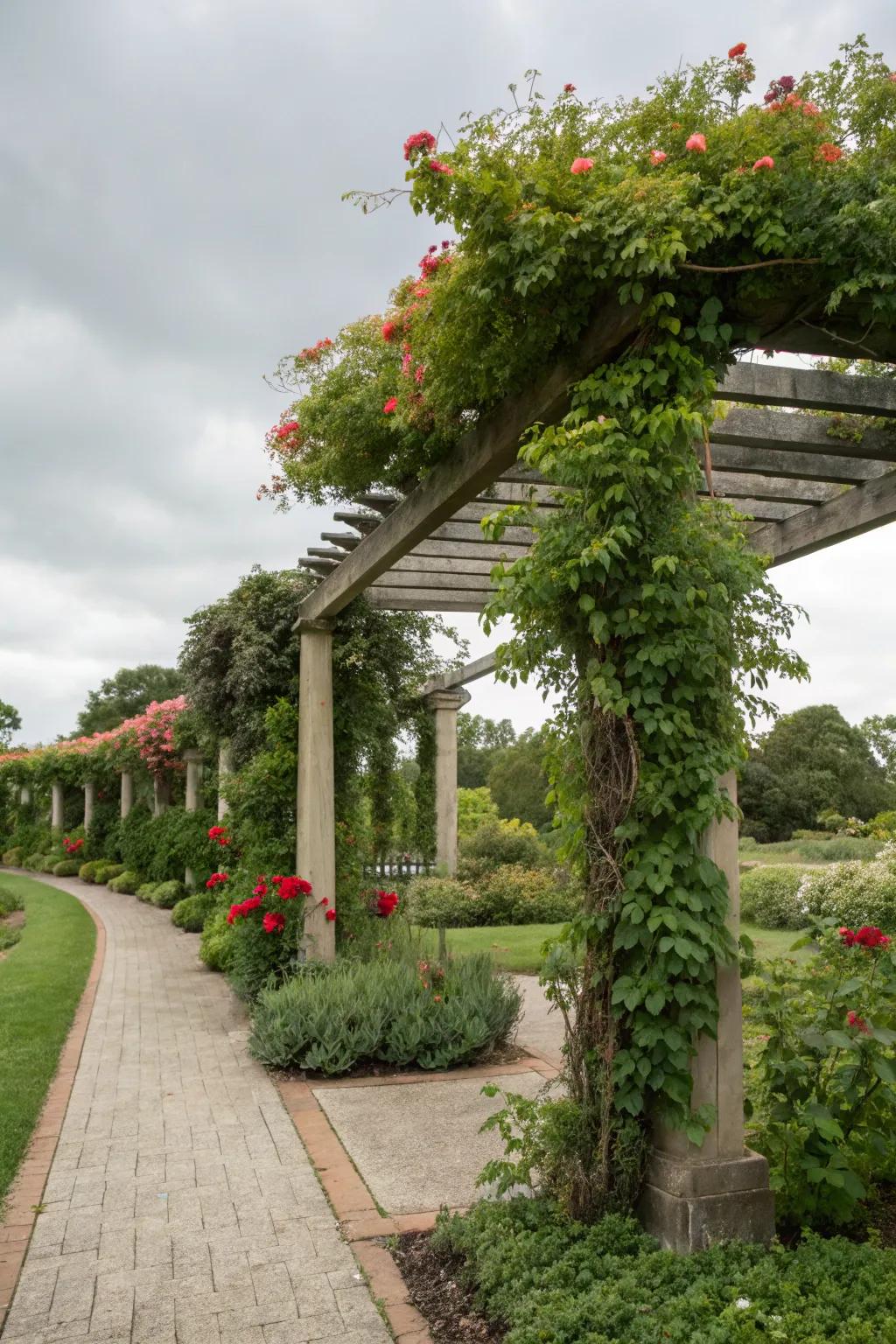 A pergola offers shade and a structure for climbing plants.