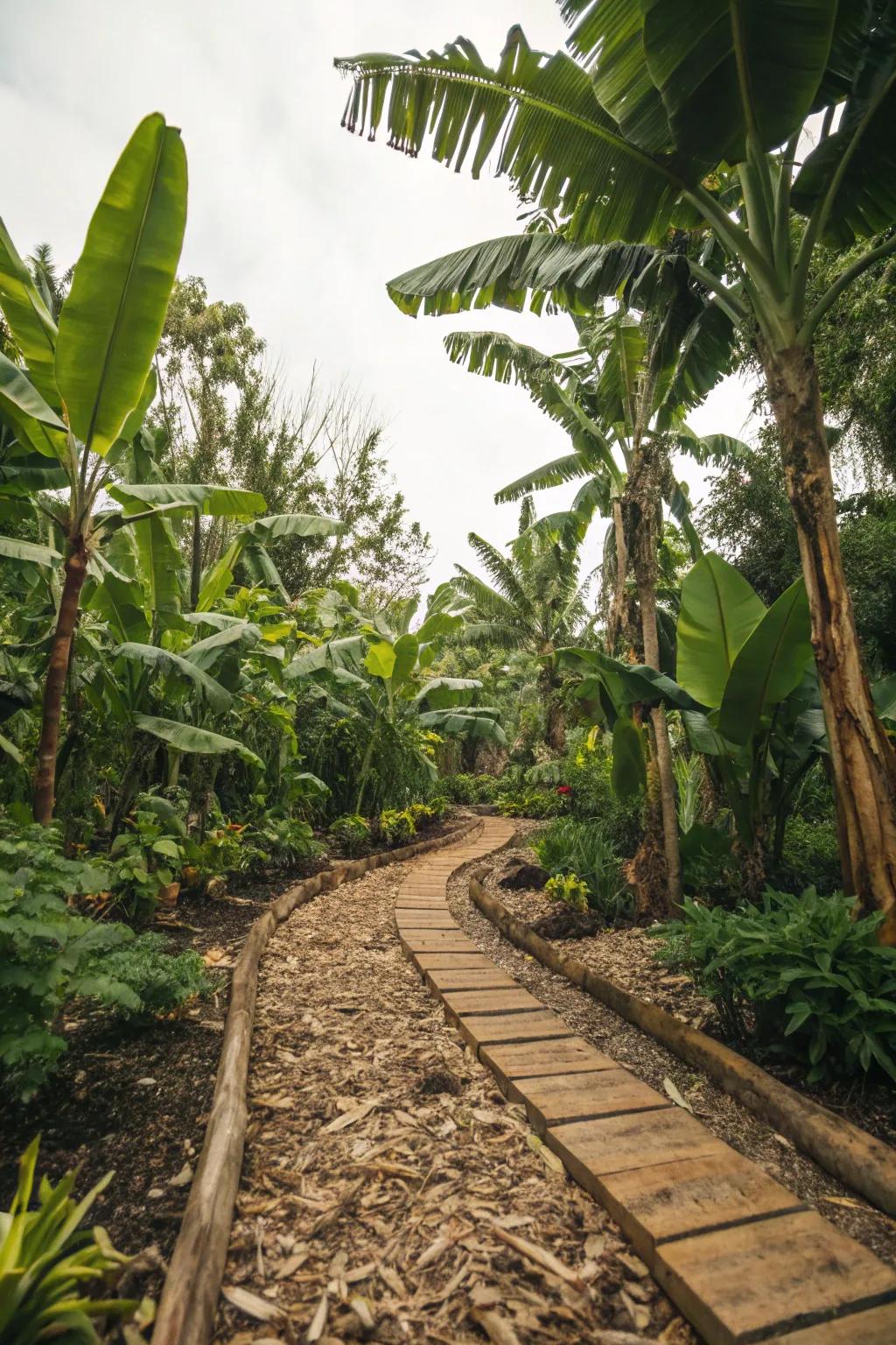 Highlight tropical plants with a backdrop of wood chips.