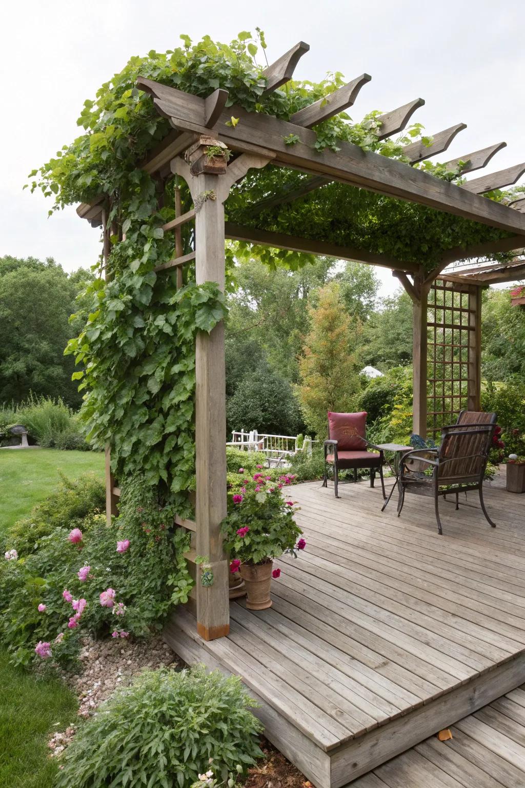 A pergola adds shade and a charming focal point to the deck.