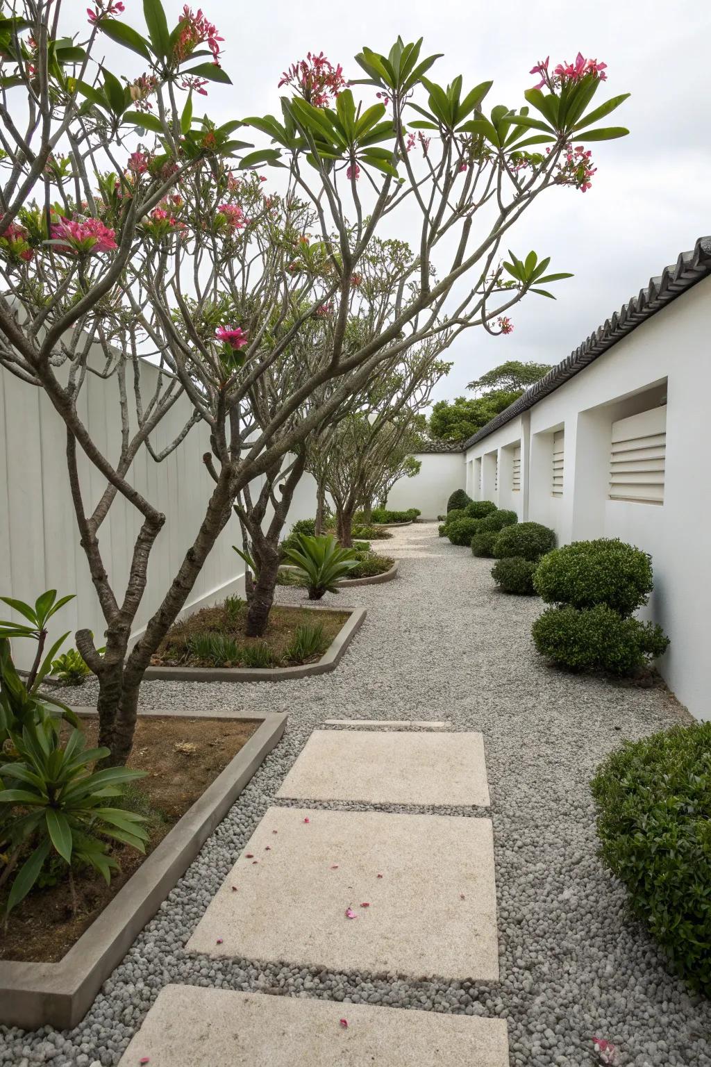 Modern minimalism meets nature with frangipani and sleek design.