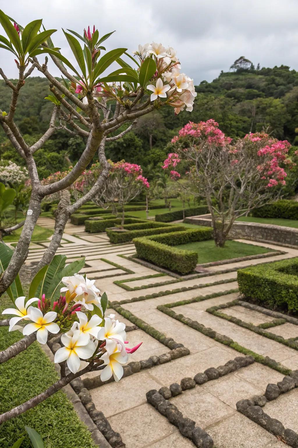Modern garden design with geometric patterns and frangipani.