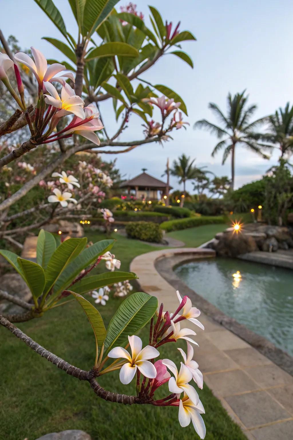 Enhance garden tranquility with frangipani and water features.