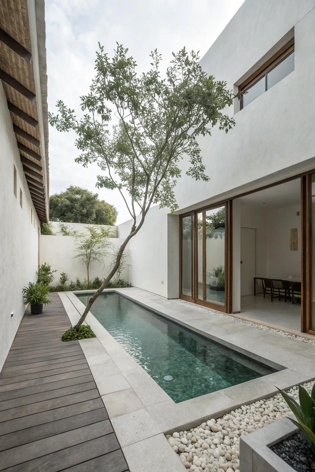 A minimalist pool design that brings a sense of calm to a small courtyard.