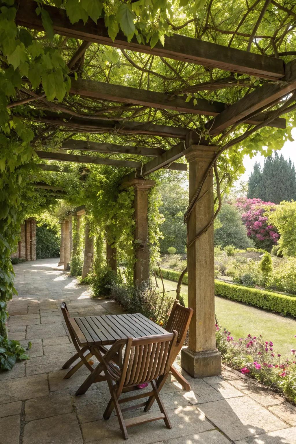 A wooden pergola offers a classic and elegant touch to any patio.