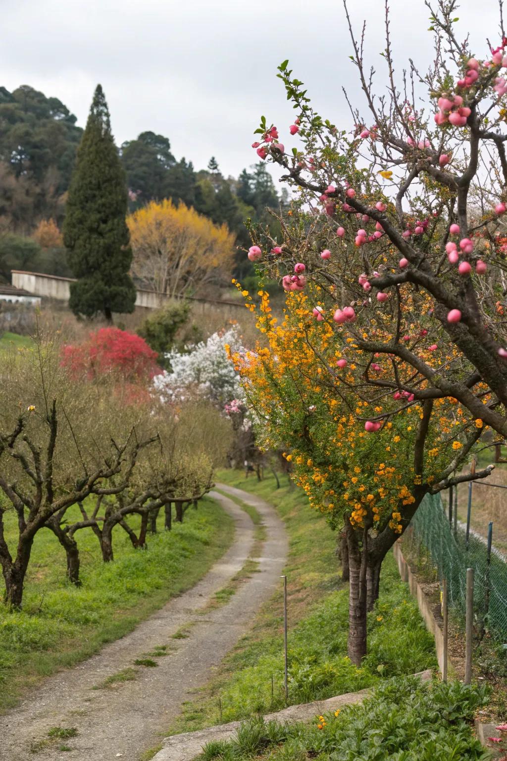 Enjoy a garden that changes with the seasons.