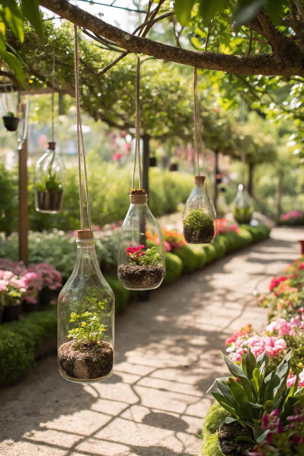 A garden featuring hanging bottles used as mini-terrariums.