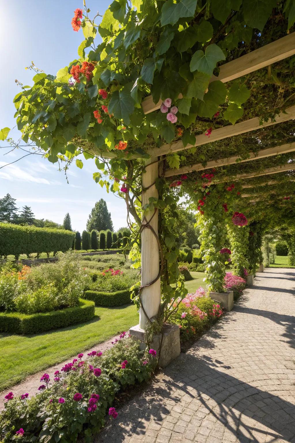 Trellises with climbing plants provide a natural windbreak with a touch of fragrance.