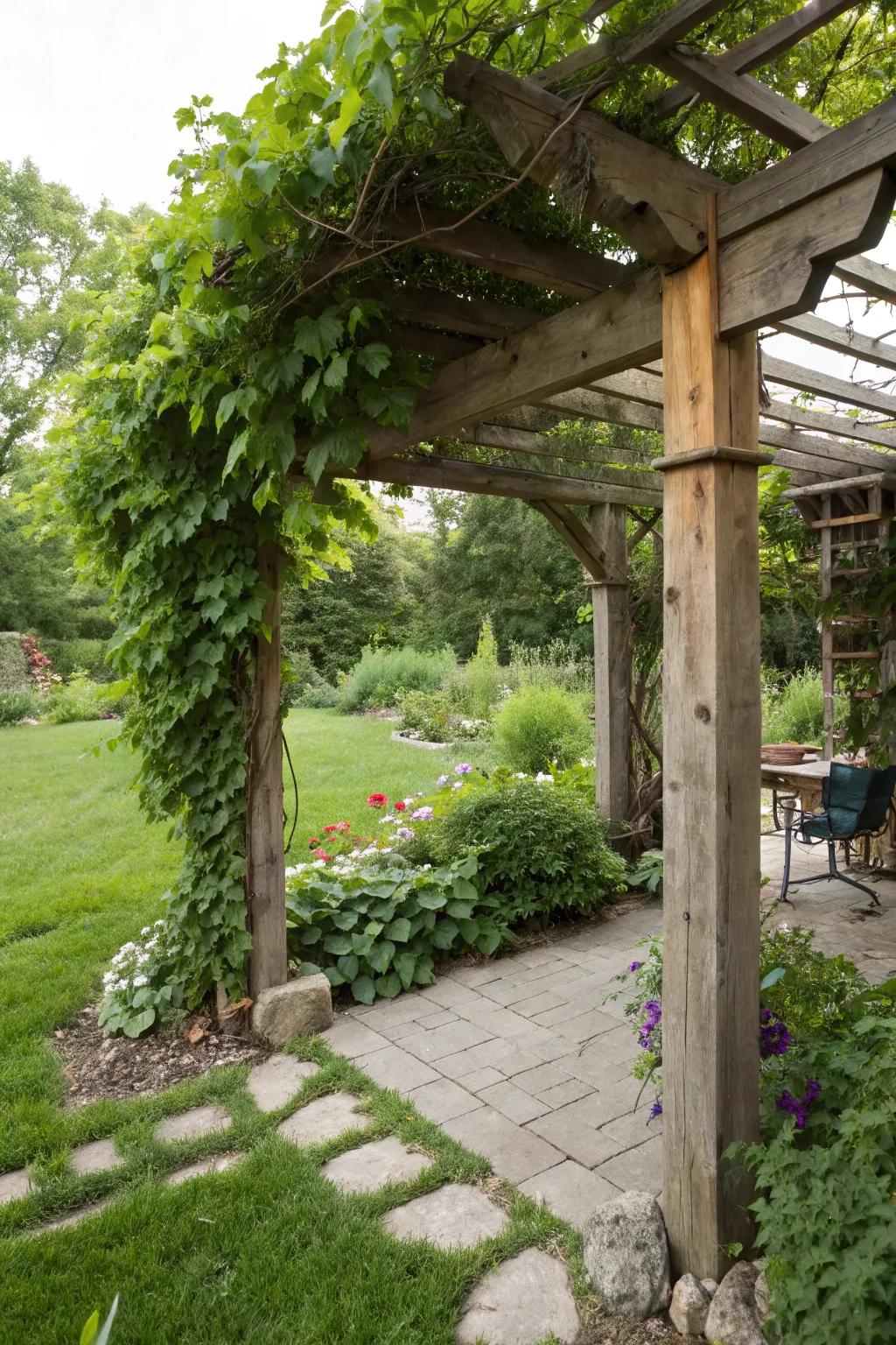Rustic charm with a wooden pergola nestled among greenery.