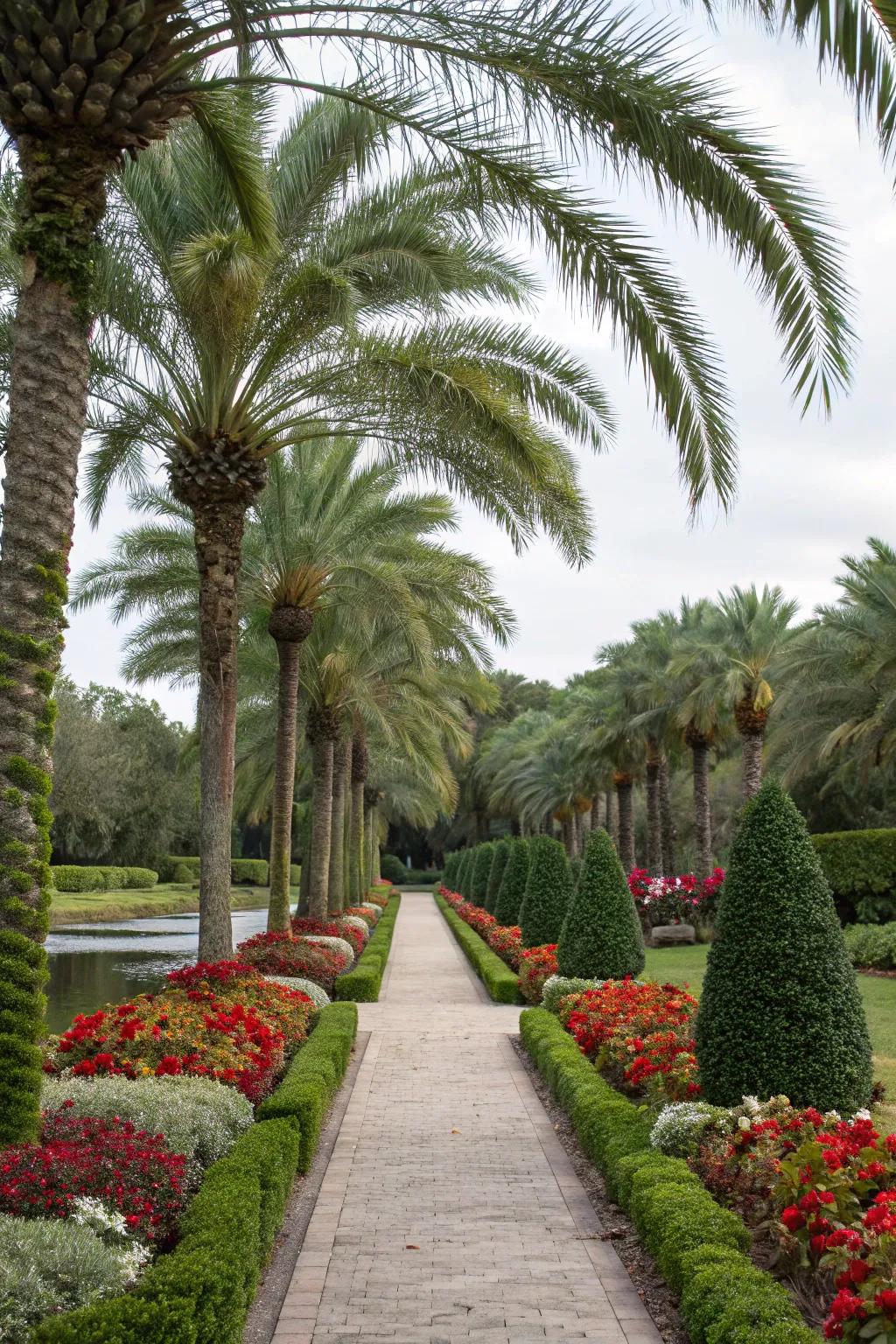 Lead the way with a palm-lined path.