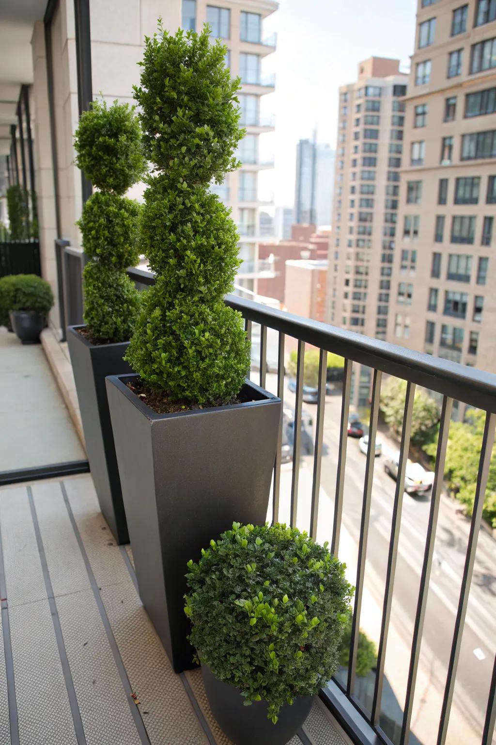 Vertical planters offer a space-saving solution for boxwoods.