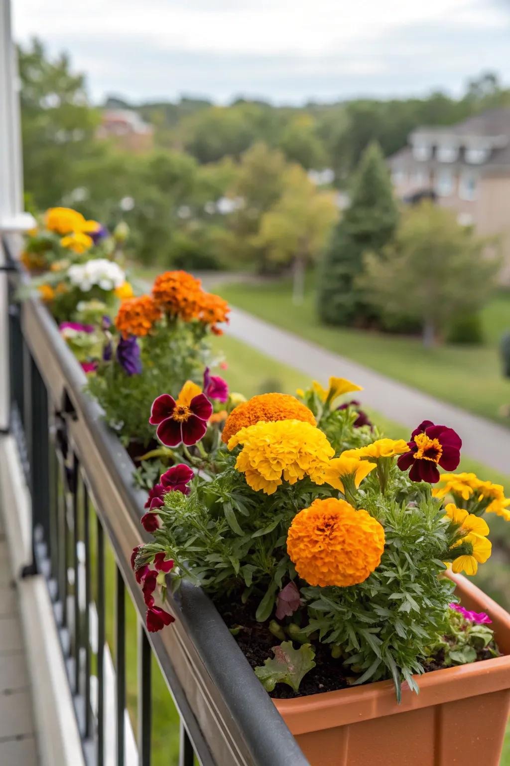 Seasonal swaps keep your railing fresh and lively.