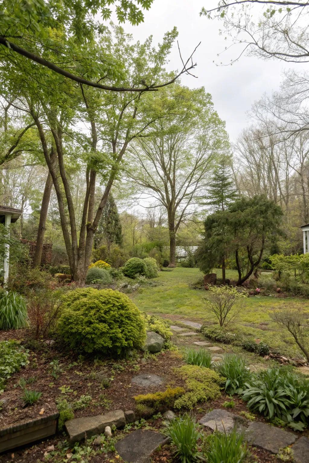 A peaceful woodland garden blending seamlessly with nature.