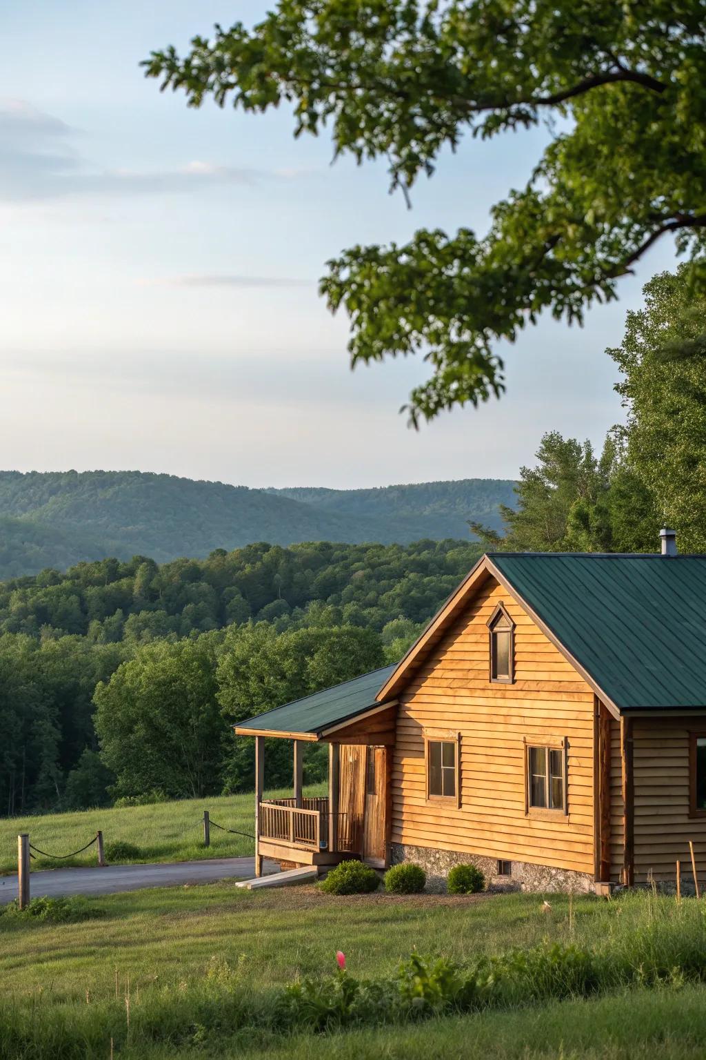 Vinyl siding offers versatility and ease of maintenance.