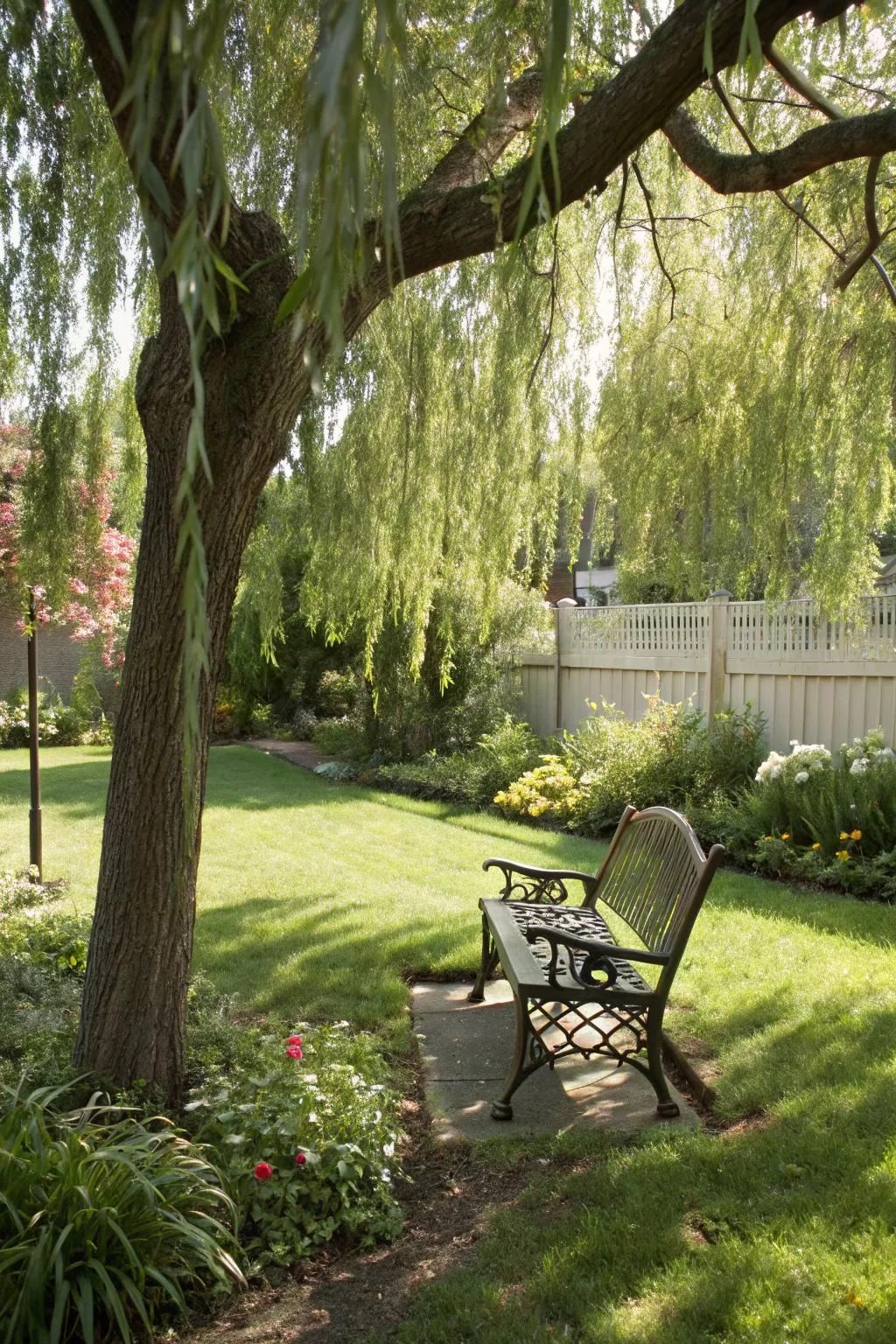 A tranquil garden nook under the graceful branches of a weeping willow.