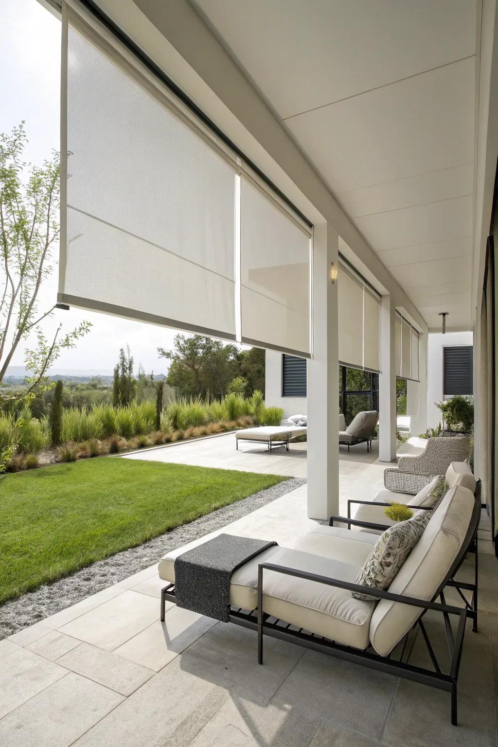 Minimalist roller shades for a modern touch.