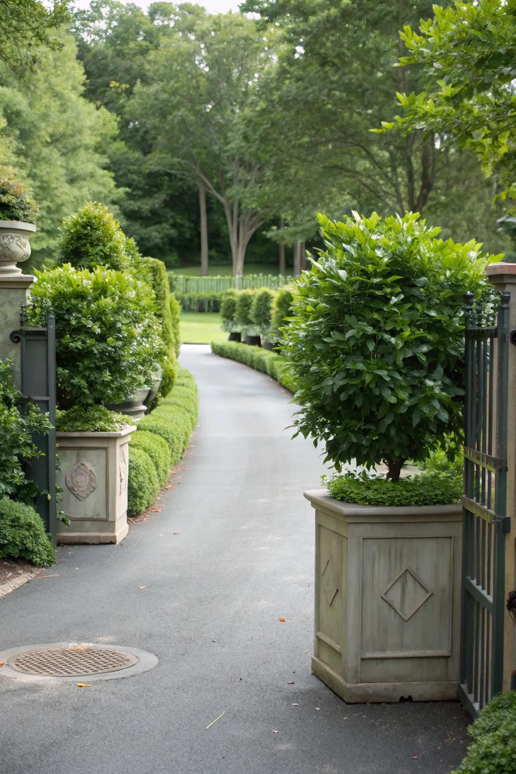 Vertical planters maximize space efficiently.