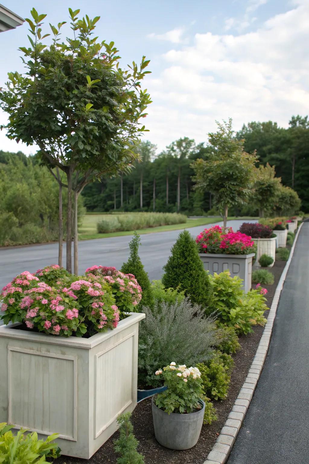A variety of plants adds texture and color to your driveway.
