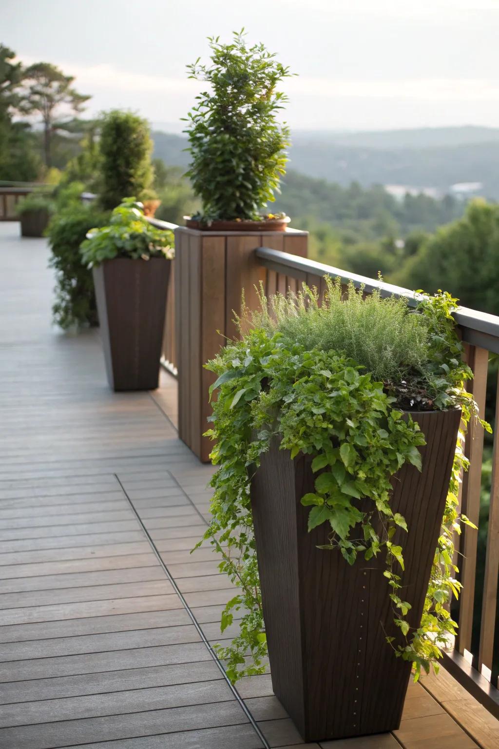 Tall planters offer movable privacy solutions.