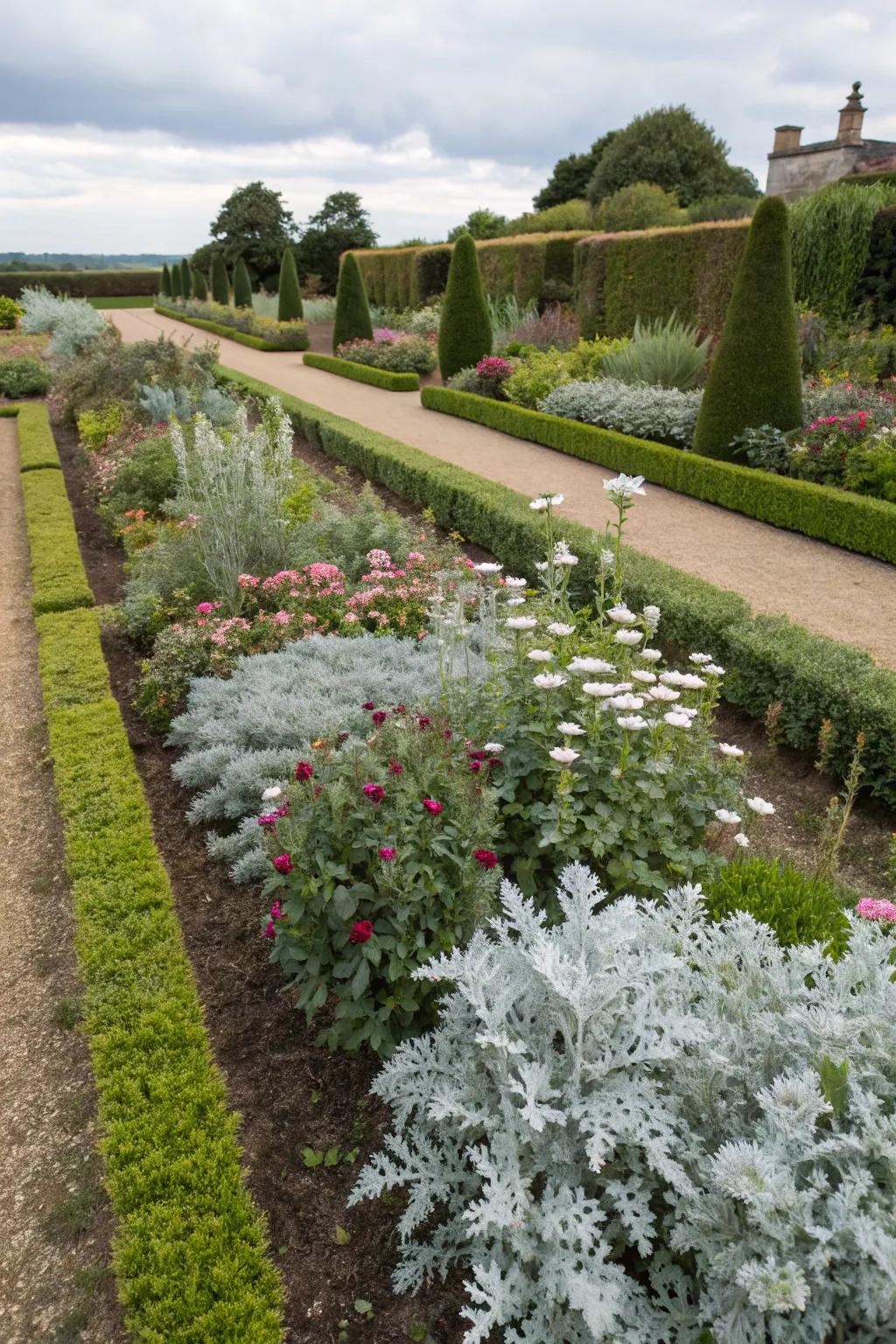 Symmetrical arrangements with dusty miller bring harmony to gardens.