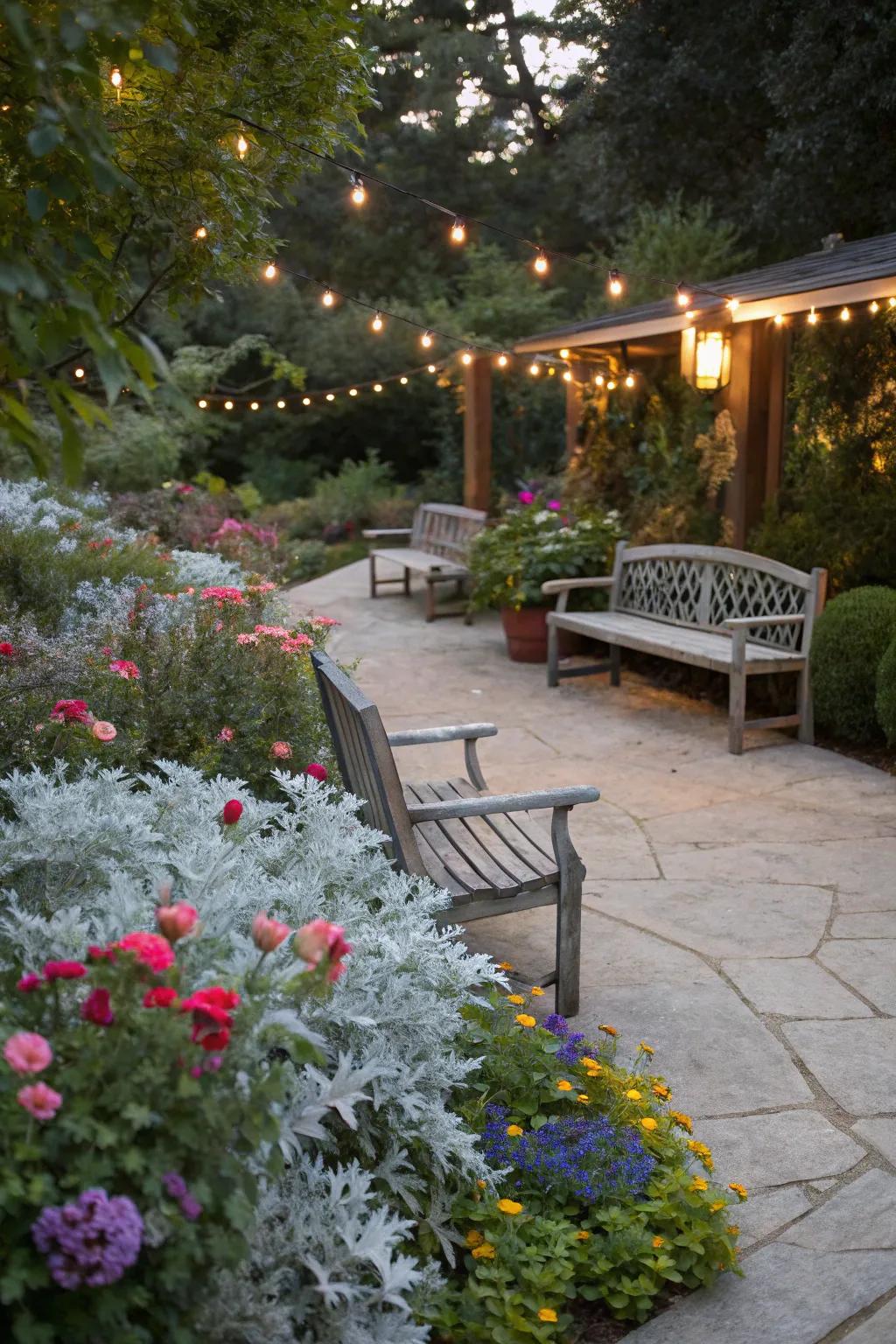 Dusty miller offers a cozy backdrop for garden seating.