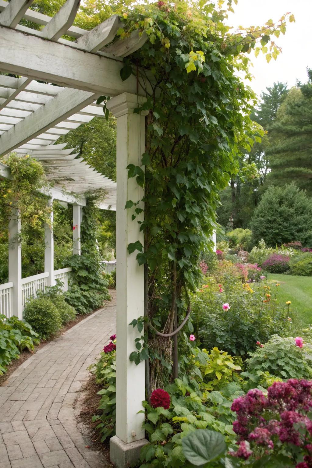 Integrate your pergola with nature for a harmonious look.