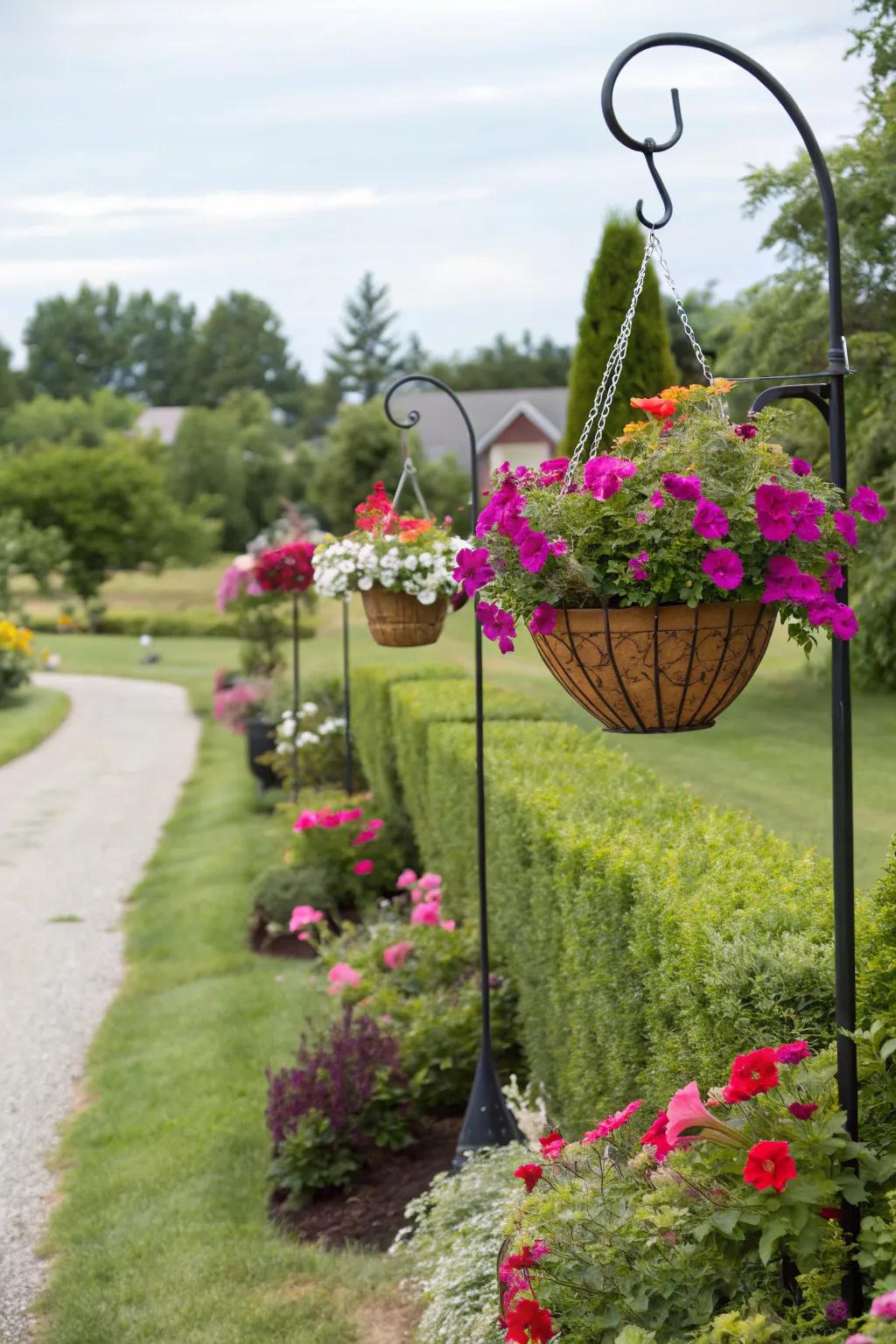 Bright hanging planters bring life to a garden path.