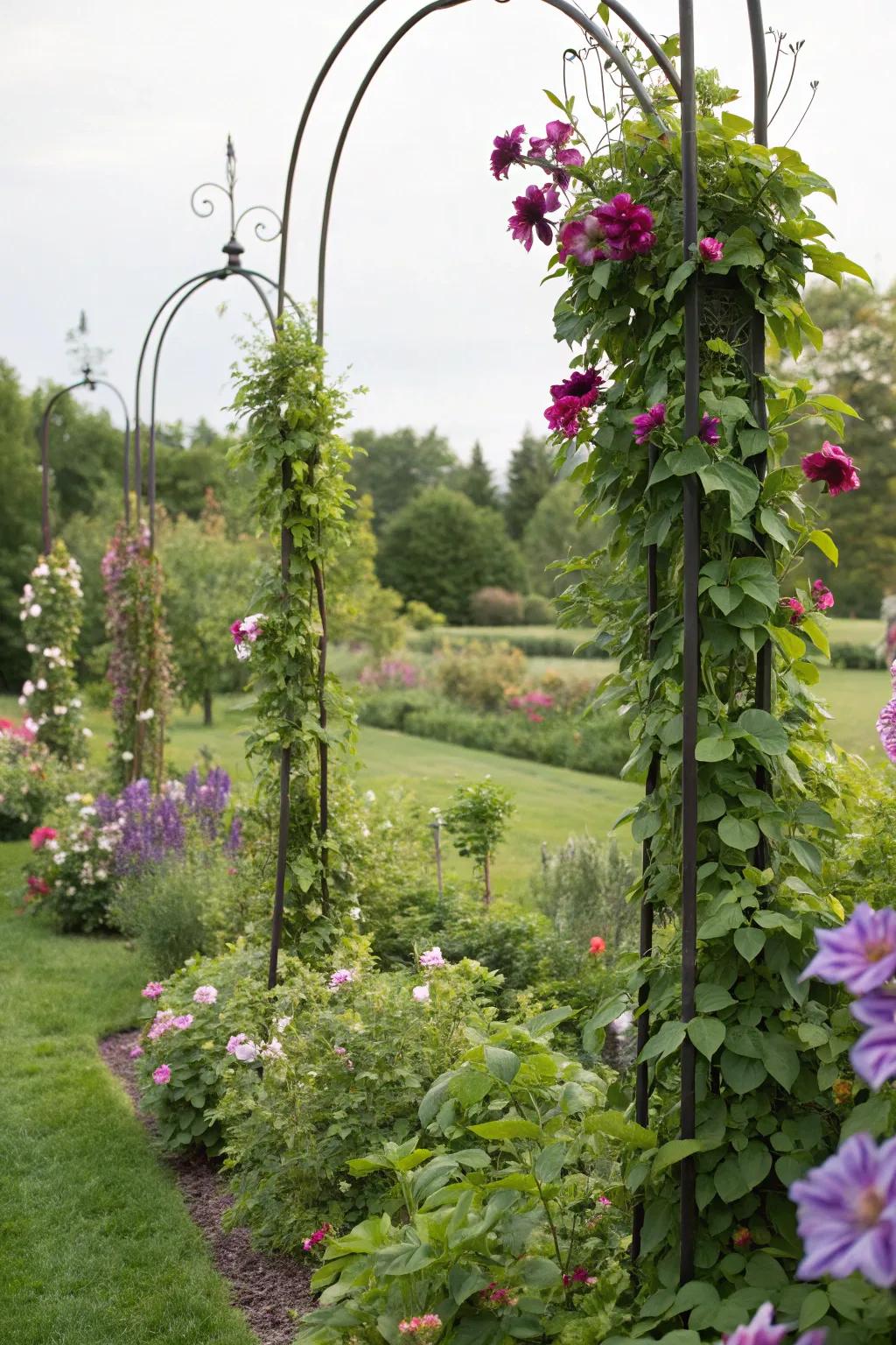 Climbing plants create a natural tapestry on shepherd hooks.