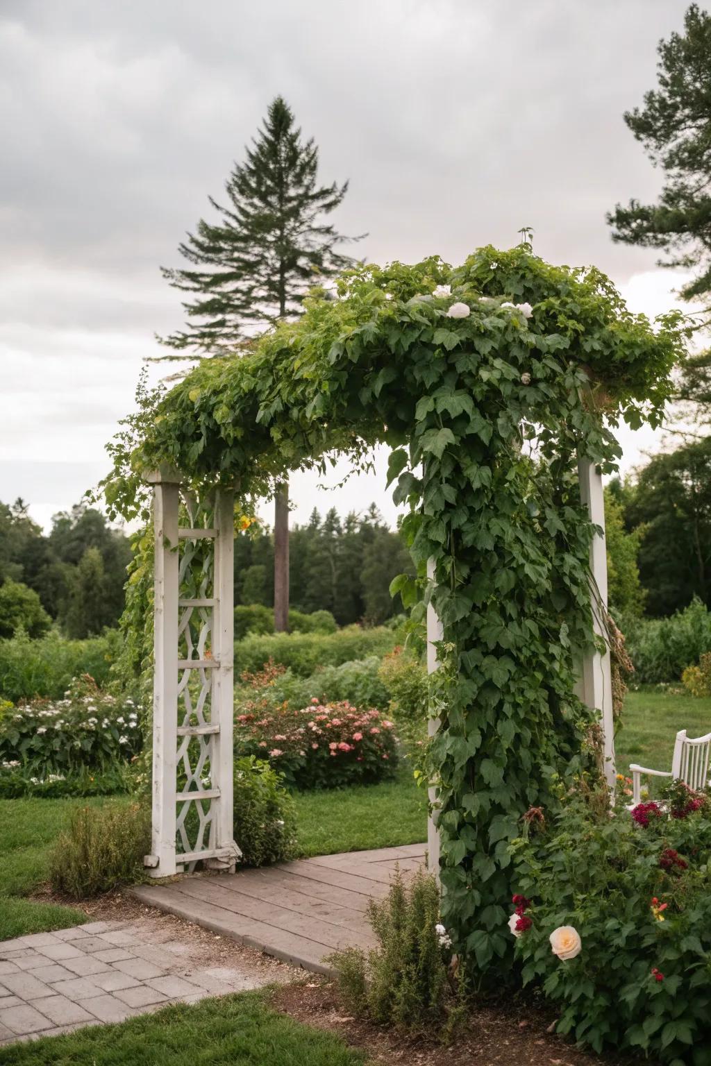 Lush greenery creates a fresh and modern trellis design.