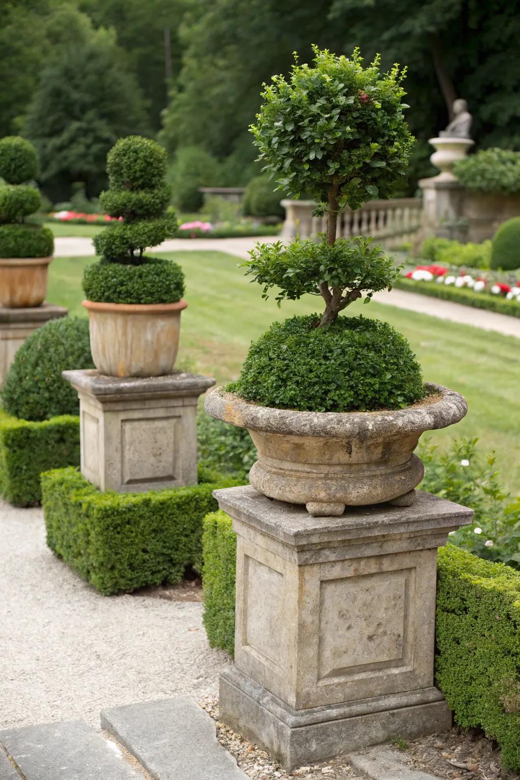 Dynamic design: Layered heights with boxwood planters.