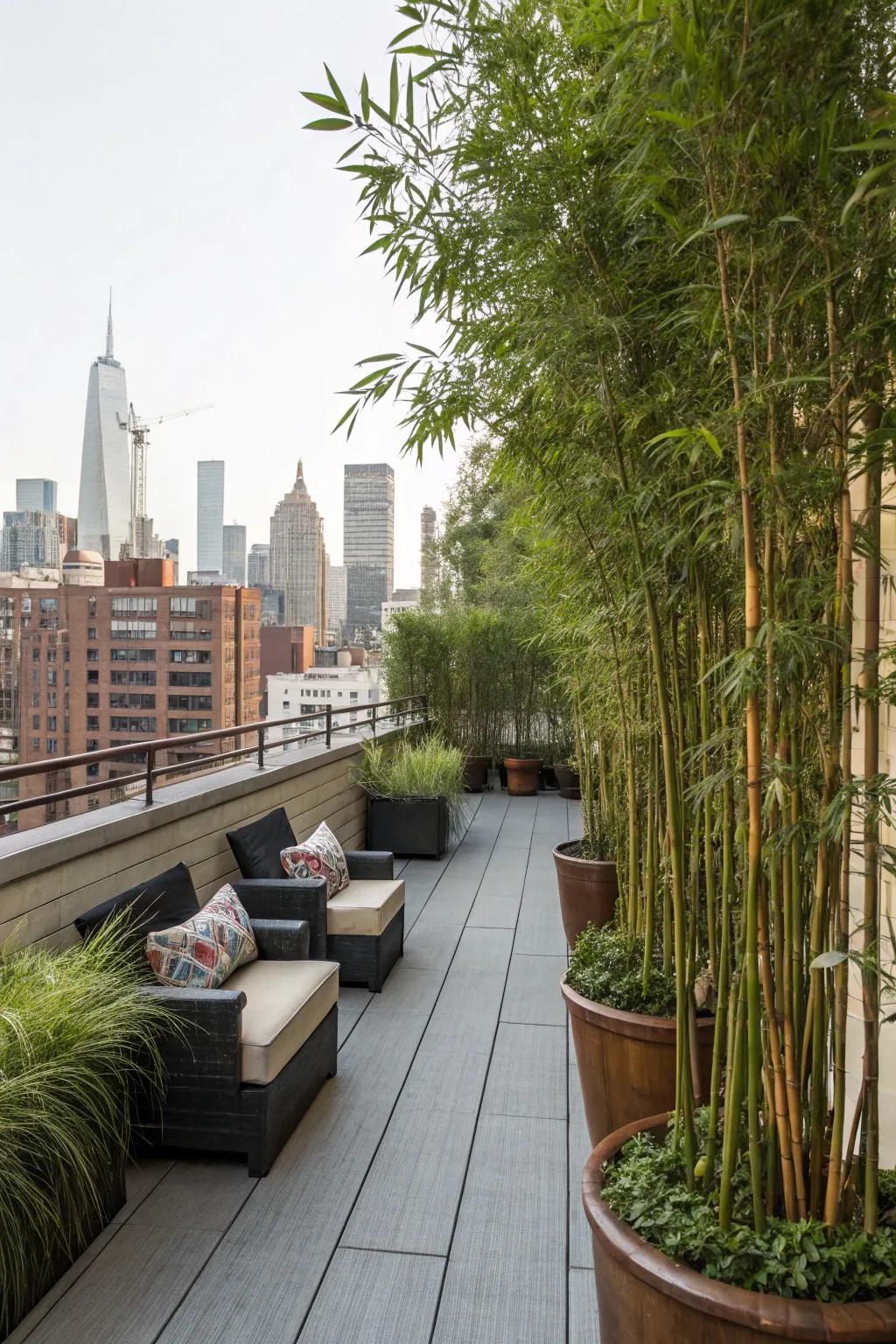Tall bamboo plants form a lush, natural privacy wall.