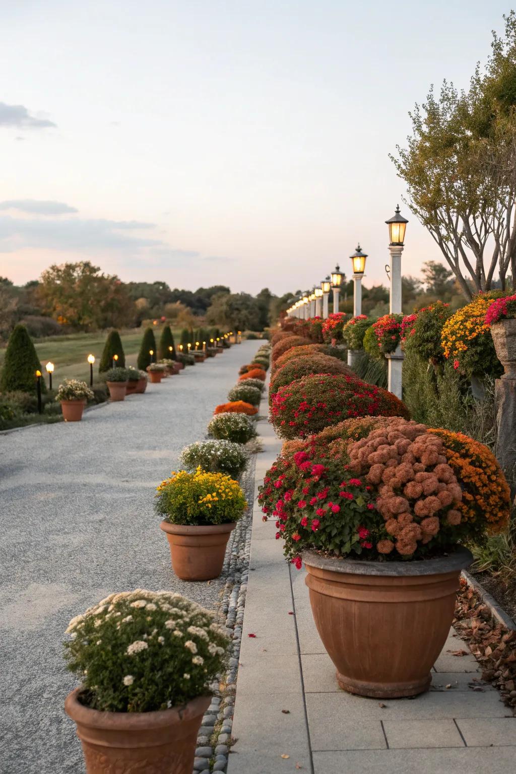 Evenly spaced pots creating a structured approach.