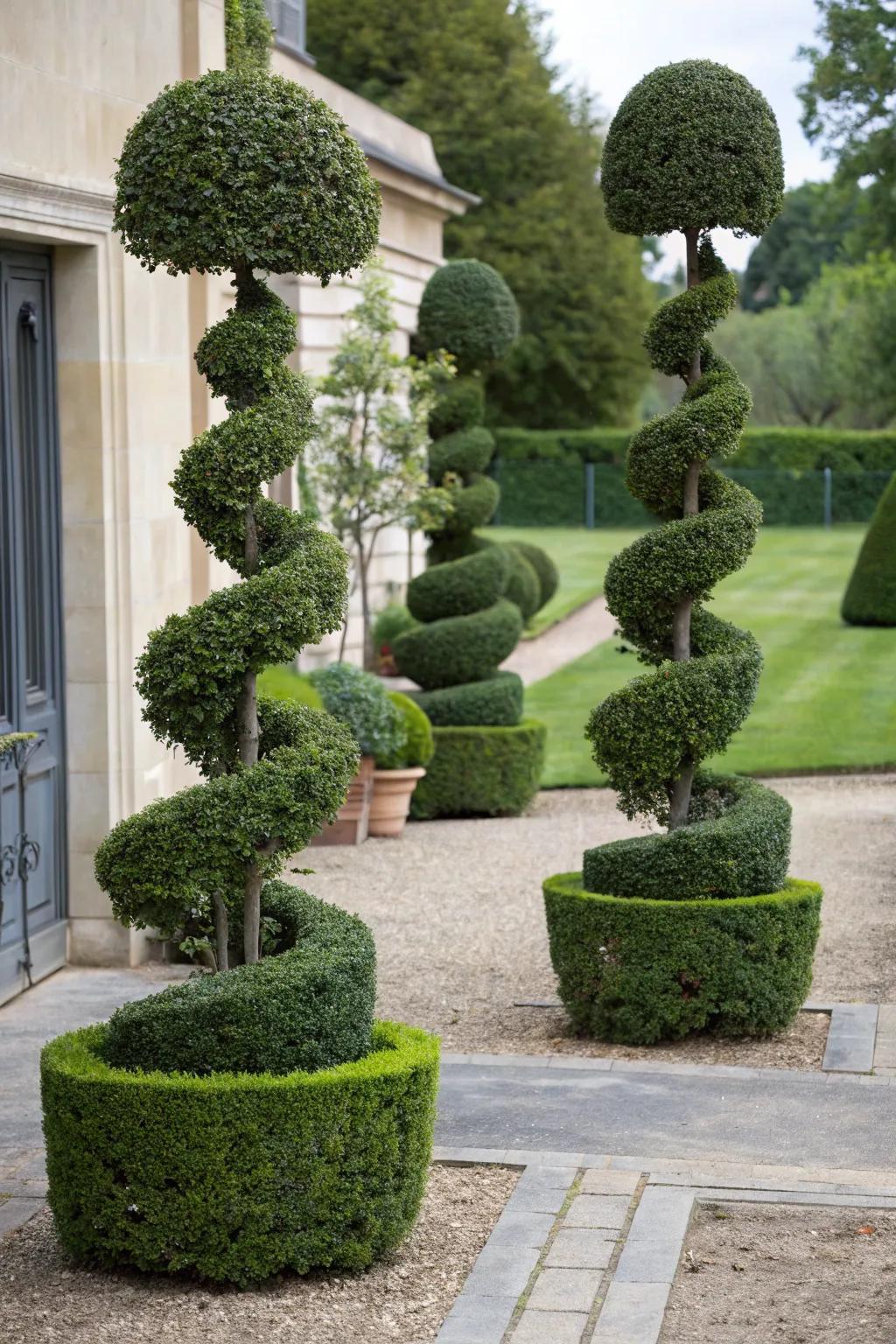 Elegant spiral topiaries creating a symmetrical entrance.
