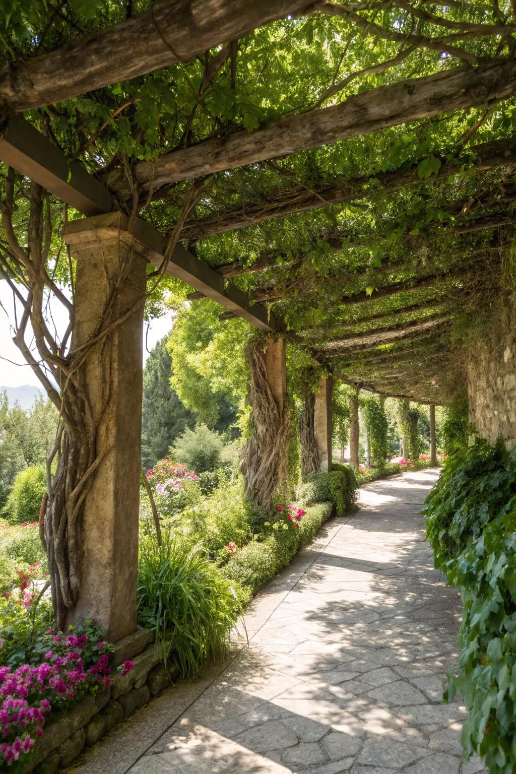 Vines add vertical interest and lush textures.