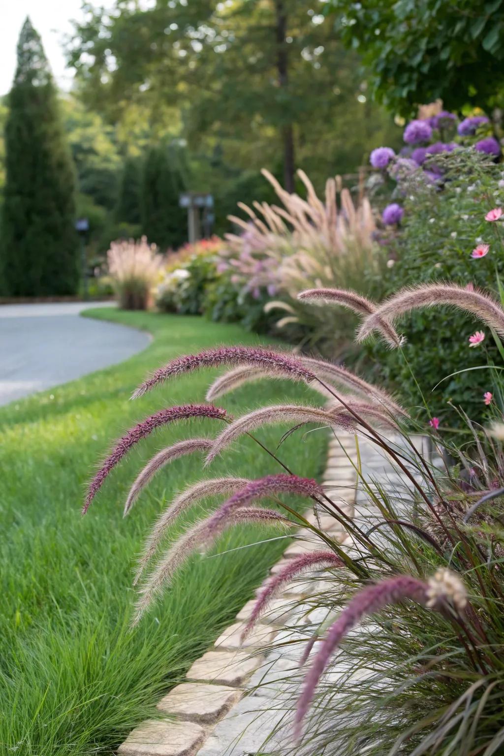 Purple fountain grass introduces texture and movement.
