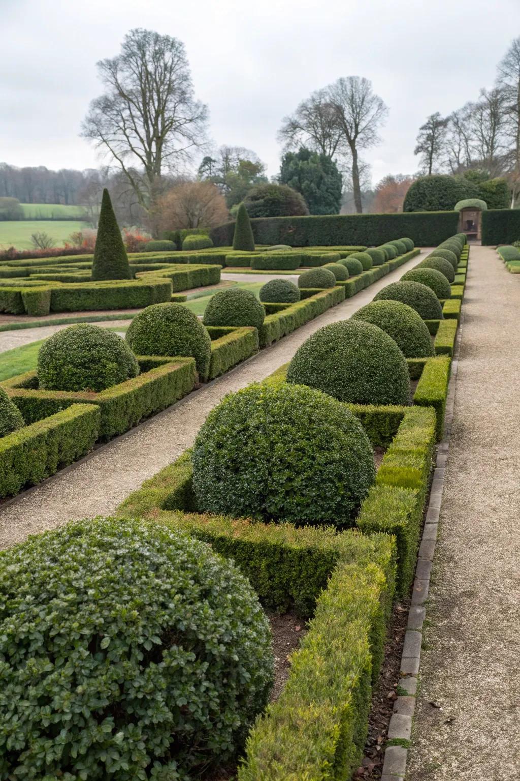 Achieve elegance with nandina in formal garden designs.