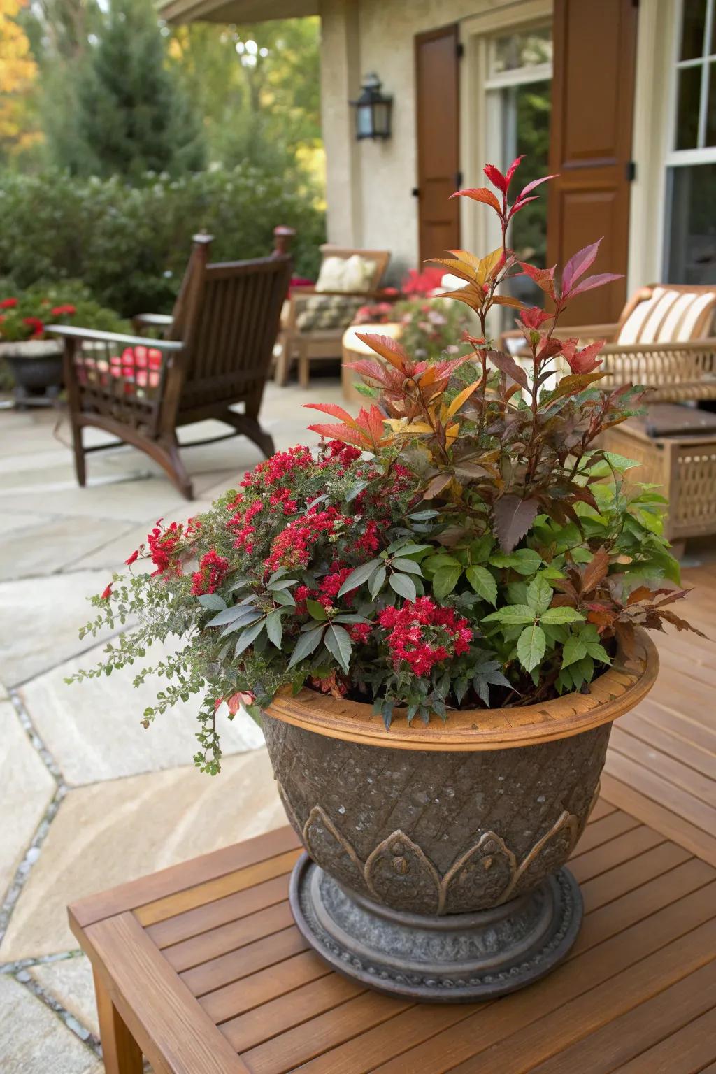 Bring color to your patio with nandina in containers.