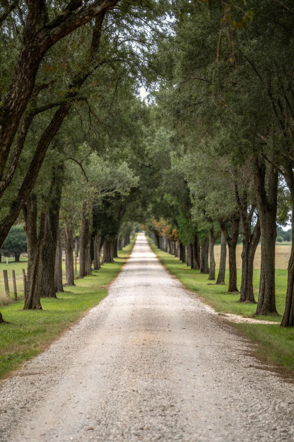 Gravel and trees bring timeless country charm.