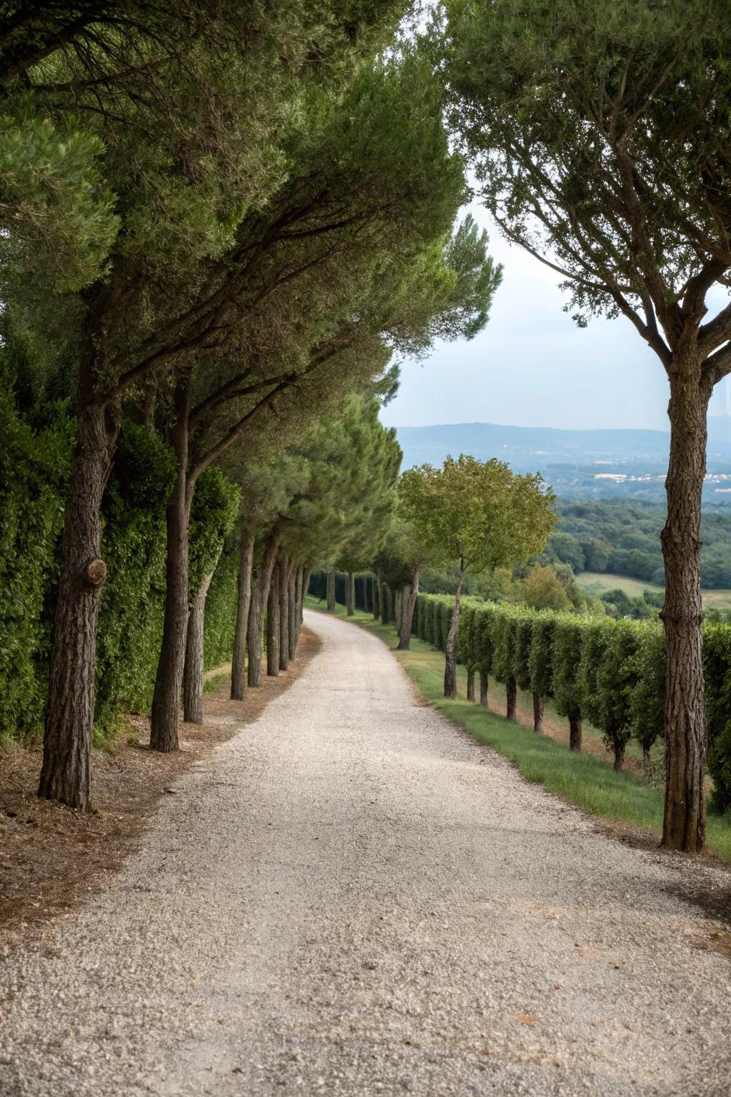 Gravel driveways add rustic charm to tree-lined paths.