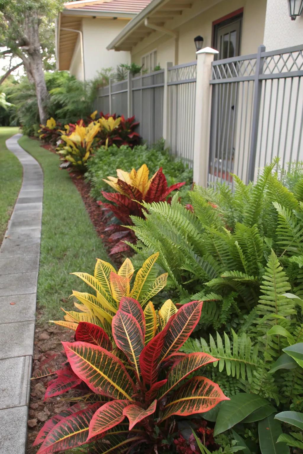 Blend color and texture with a fusion of crotons and ferns.